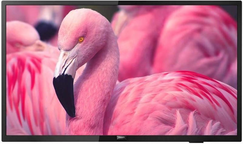 PHILIPS  Hotel-TV 43HFL4014/12 43 " 