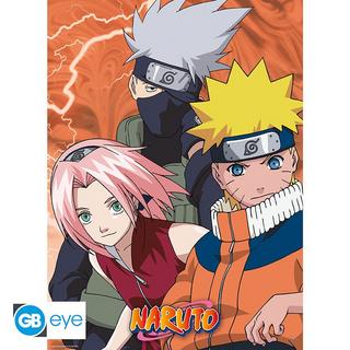 Abystyle  Poster - Set of 2 - Naruto - Ninja & Nukenin 