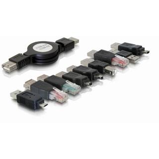 DeLock  USB adapter kit 10 parts Noir 