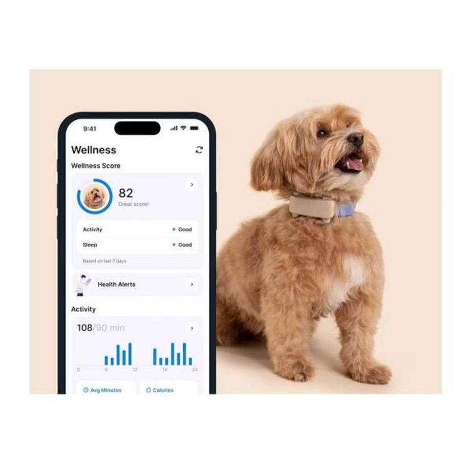 Tractive  Dog 6 GPS Tracker für Hunde 