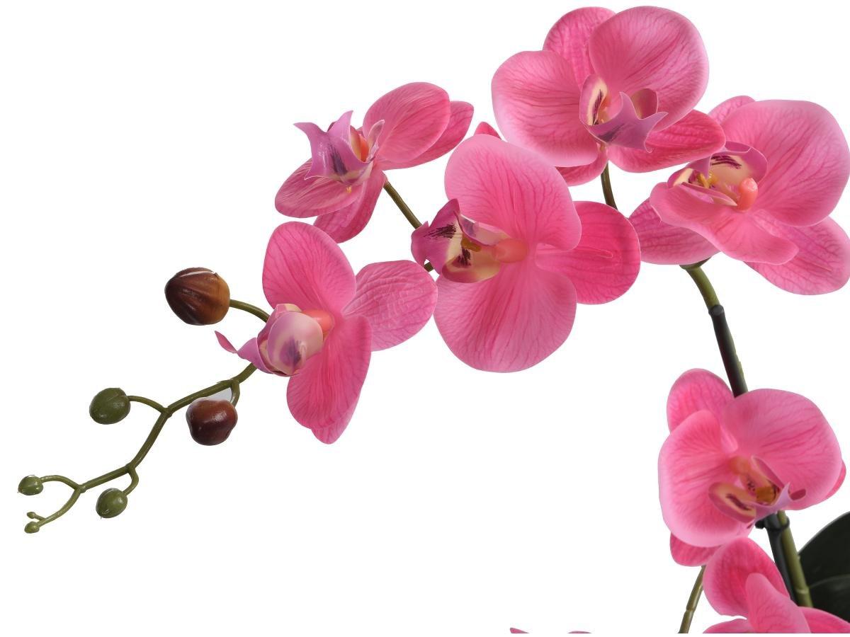 Vente-unique Pianta artificiale orchidea H.55 x L.30 cm con vaso in Cemento Rosa - RIOSANE  