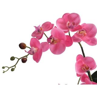 Vente-unique Plante artificielle orchidée avec pot en ciment - H.55 x L.30 cm - Rose - RIOSANE  