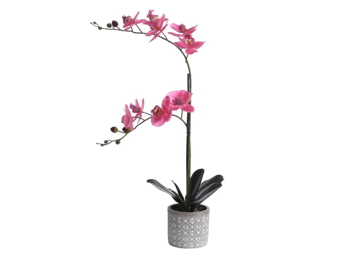 Image of Kunstpflanze Orchidee mit Zementtopf - 55 x 30 cm - Rosa - RIOSANE Kunstpflanze Orchidee mit Zementtopf - 55 x 30 cm - Rosa - RIOSANE