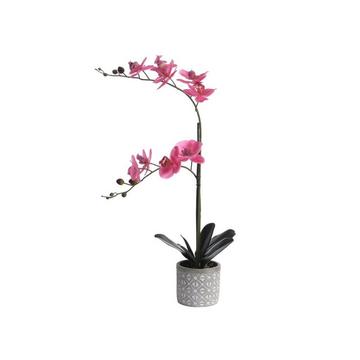 Plante artificielle orchidée avec pot en ciment - H.55 x L.30 cm - Rose - RIOSANE
