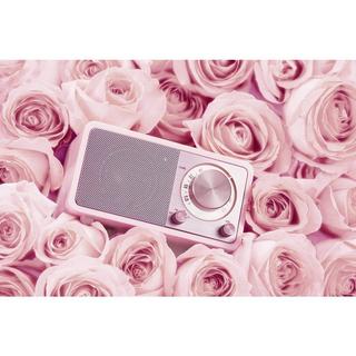 SANGEAN  Sangean WR-7 UKW-Radio 