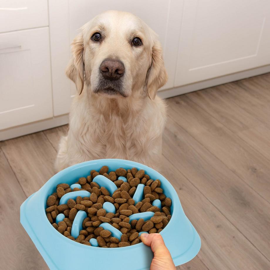 B2X  Anti-Schlingschüssel 500 ml 