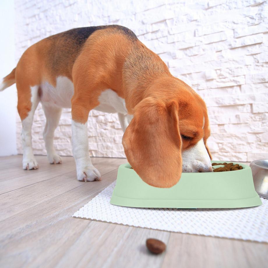 B2X  Anti-Schlingschüssel 500 ml 