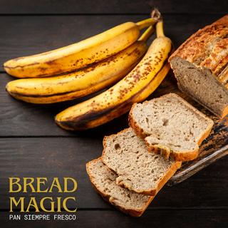 STARLYF Bread Magic - Contenitore per il pane  