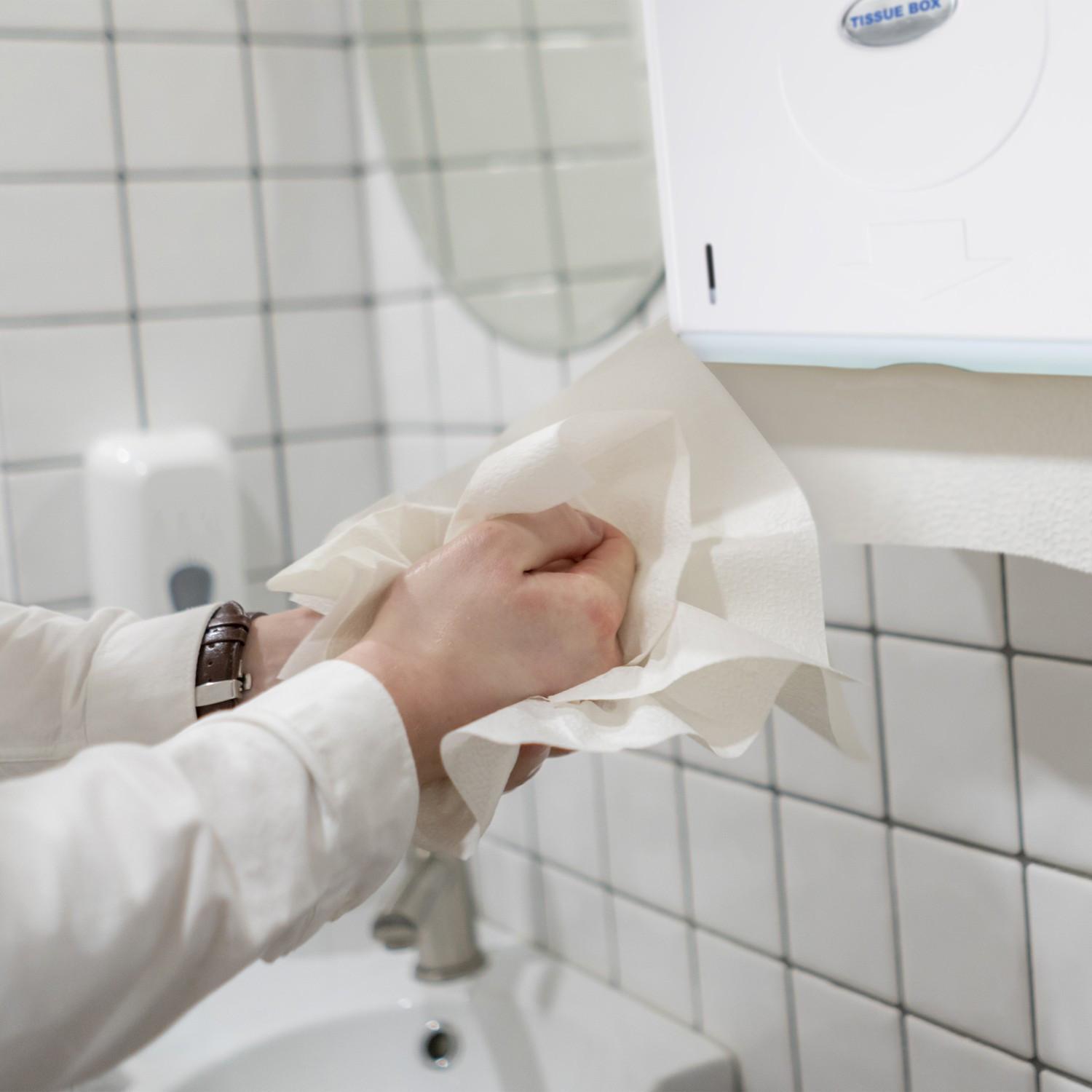 B2X Papierhandtuchspender Wand  