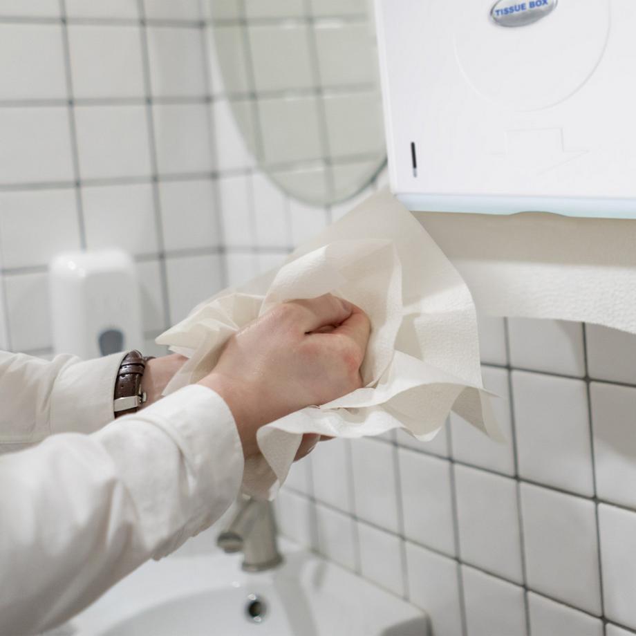 B2X Papierhandtuchspender Wand  