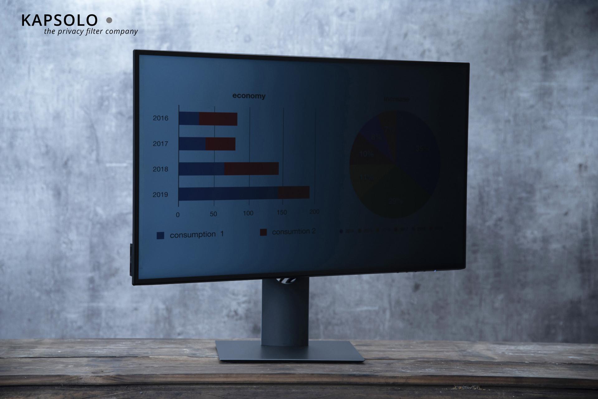 KAPSOLO  Écran de confidentialité insérable à 2 angles pour 54,6cm (21,5") Wide 16:9 