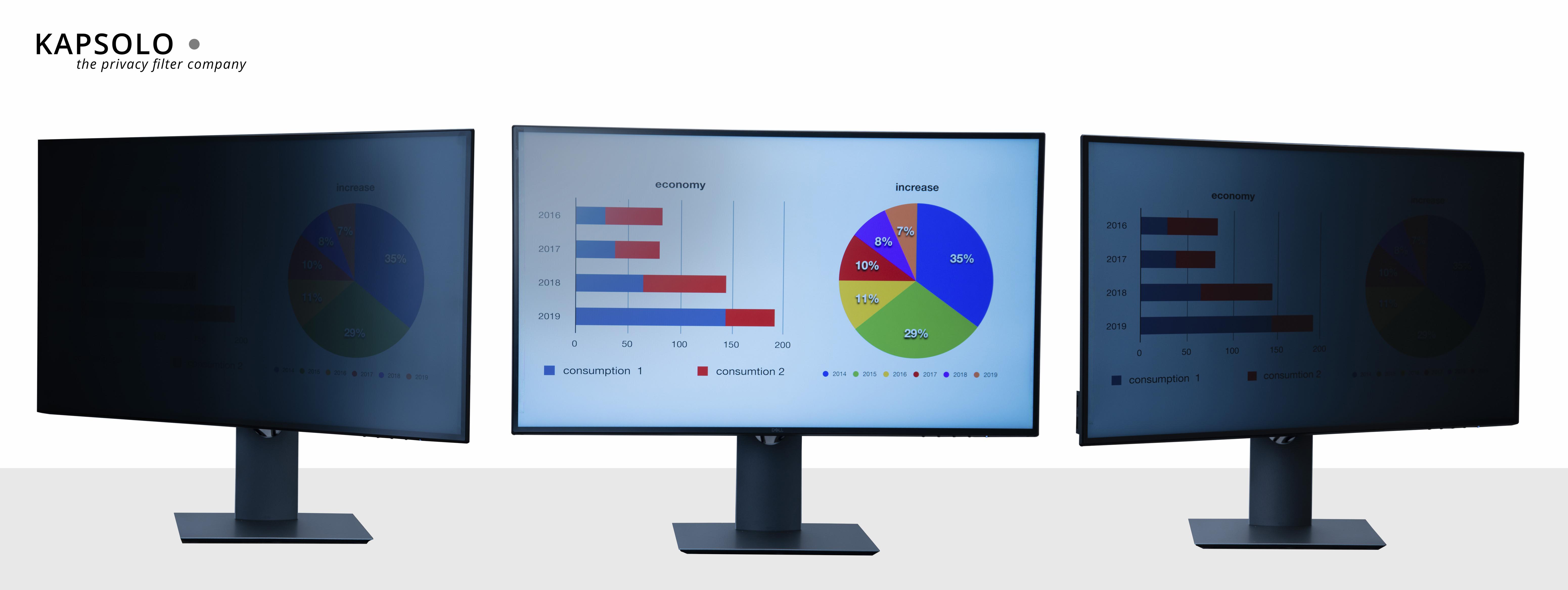 KAPSOLO  Écran de confidentialité insérable à 2 angles pour 54,6cm (21,5") Wide 16:9 