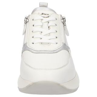 Sioux  Sneaker Segolia-705-J 