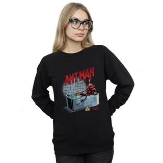 MARVEL  Bathing Ant Sweatshirt 