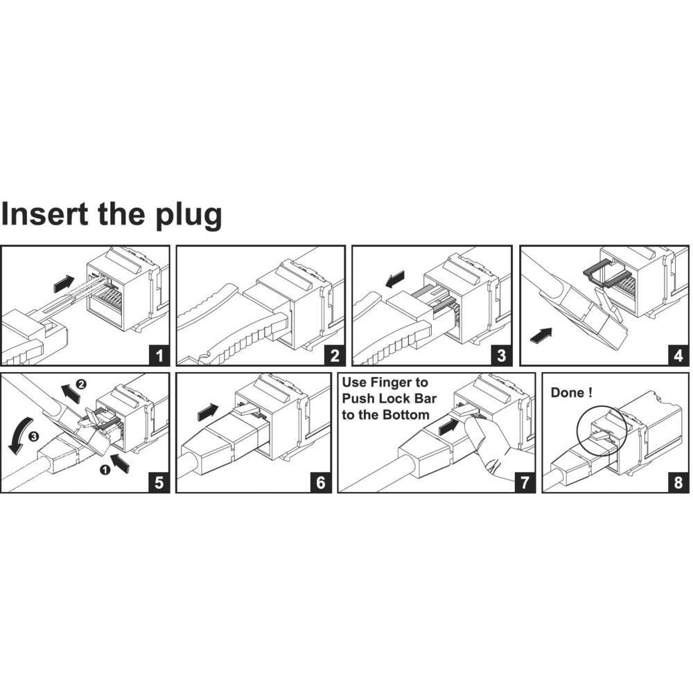 Renkforce  Panneau de brassage Rnekforce modulaire 24 ports Keystone modulaire 45° 