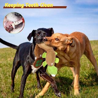 Activity-board  Interaktives Hundespielzeug Quietschend - Futtersuche Instinkttraining, Intelligenz Stressabbau Langeweile - Für große, mittlere und kleine Hunde 