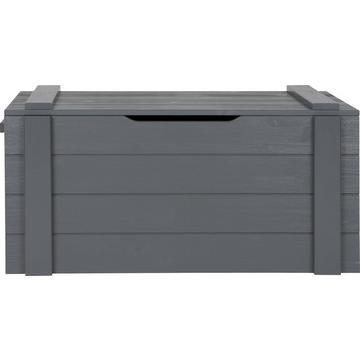 Coffre à jouets Dennis pin gris acier