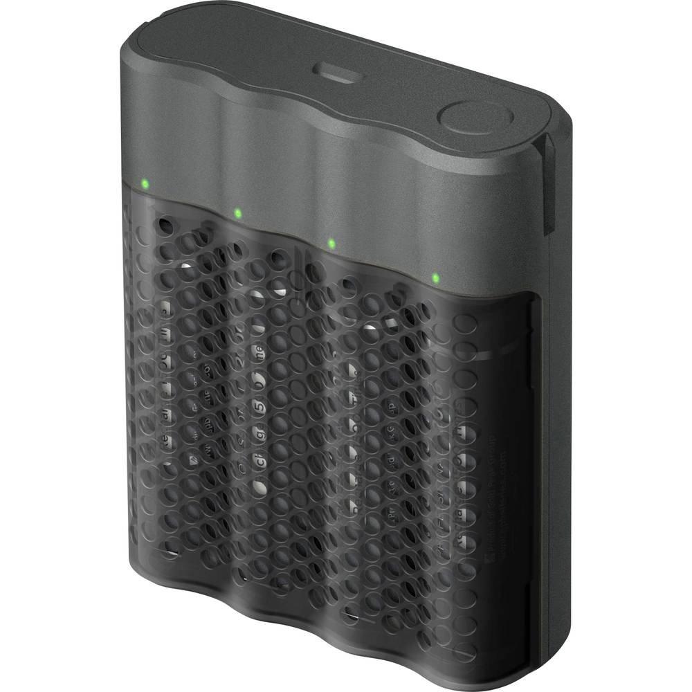 Image of Ladegerät P461