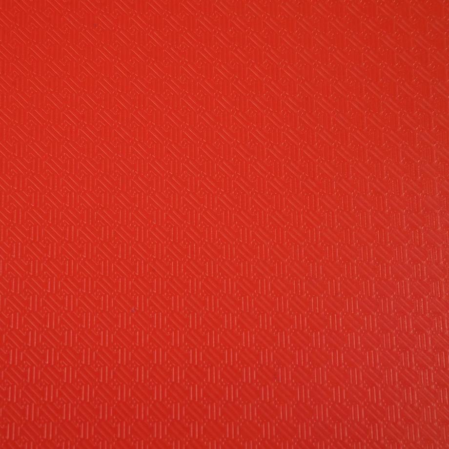 Exacompta EXACOMPTA Sichtbuch A4 8585E rot  