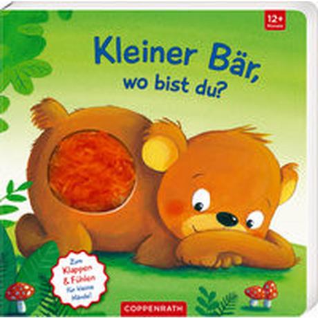 Mein erstes Guckloch-Fühlbuch: Kleiner Bär, wo bist du? Kein Autor Gebundene Ausgabe 