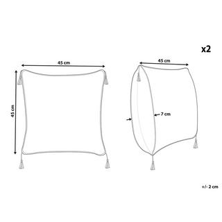 Beliani Kissen 2er Set aus Samtstoff Modern SCHEFFLERA  