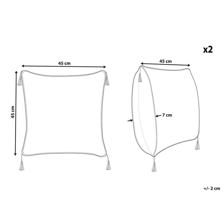 Beliani Dekokissen 2er Set aus Samtstoff Modern SCHEFFLERA  