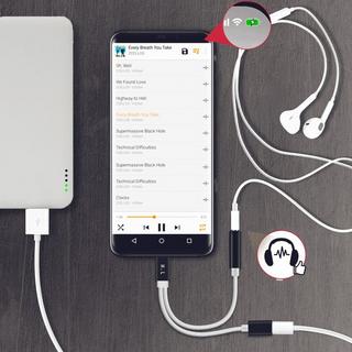 Avizar  Schwarzer USB-C Audio-&Ladeadapter 