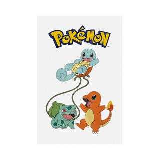 Pokémon  TShirt Original Trio 