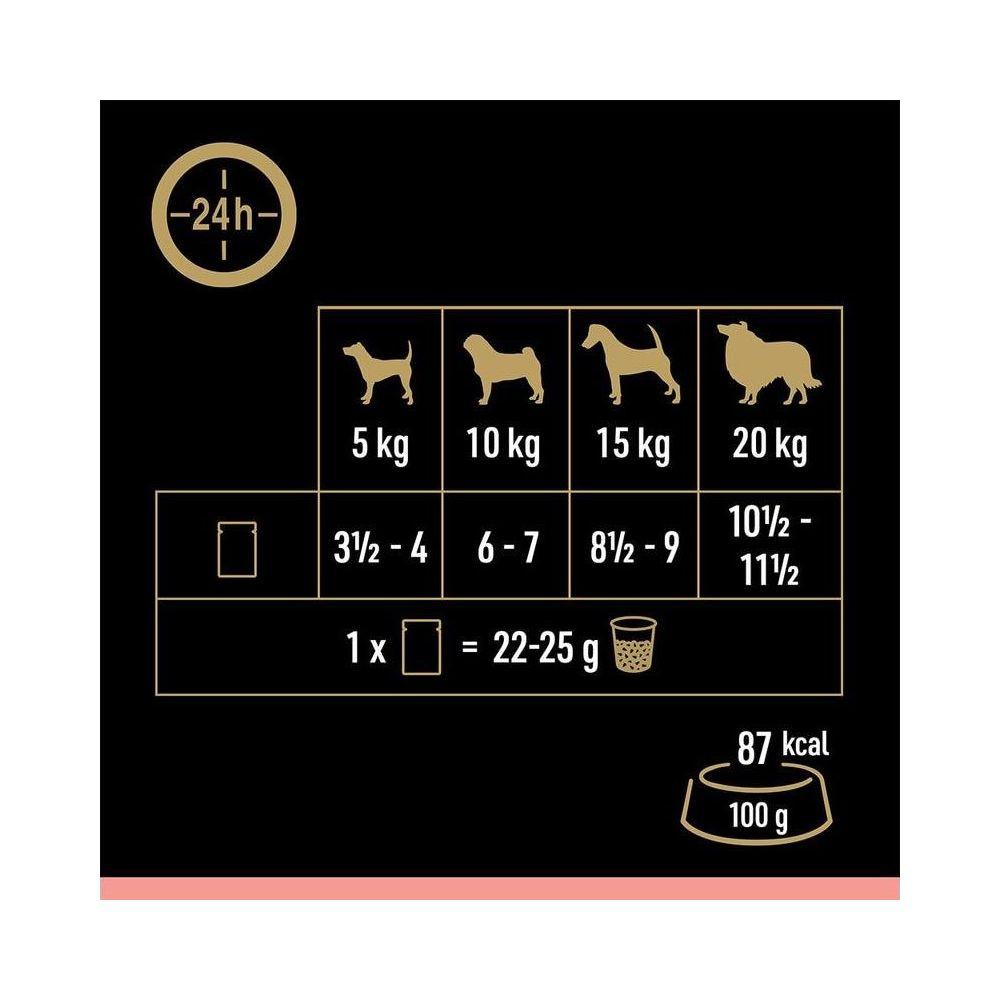 Cesar  Selektion Sauce 