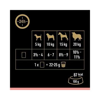 Cesar  Selektion Sauce 