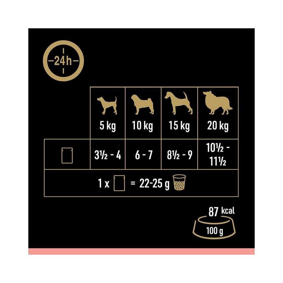 Cesar  Selektion Sauce 