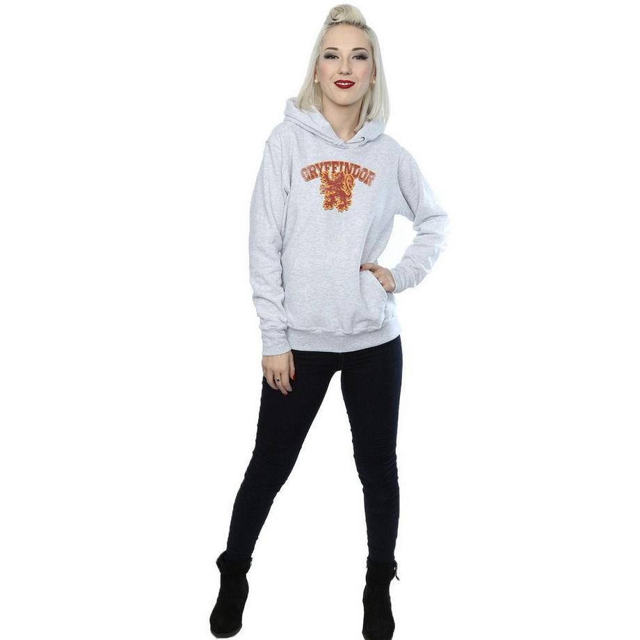 Harry Potter Gryffindor Sweat à capuche  