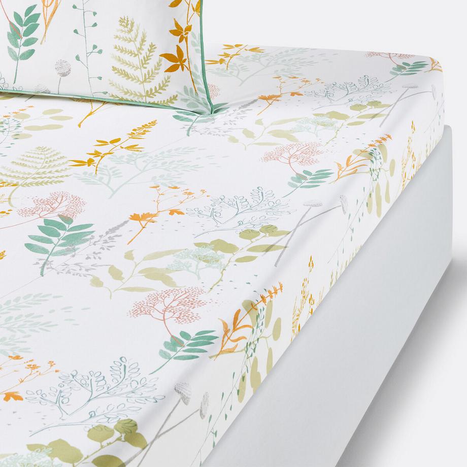 Drap housse percale de coton