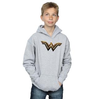 DC COMICS  Sweat à capuche JUSTICE LEAGUE 