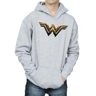 DC COMICS  Sweat à capuche JUSTICE LEAGUE 