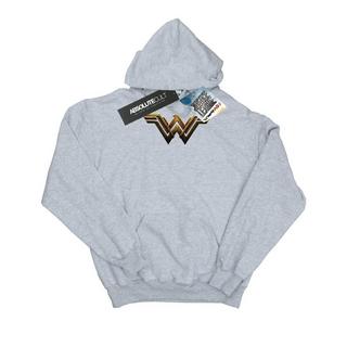 DC COMICS  Sweat à capuche JUSTICE LEAGUE 