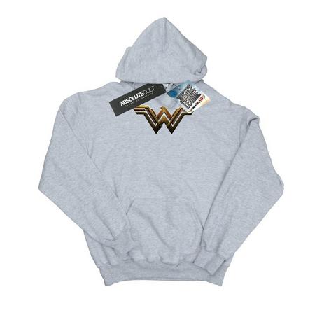 DC COMICS  Sweat à capuche JUSTICE LEAGUE 