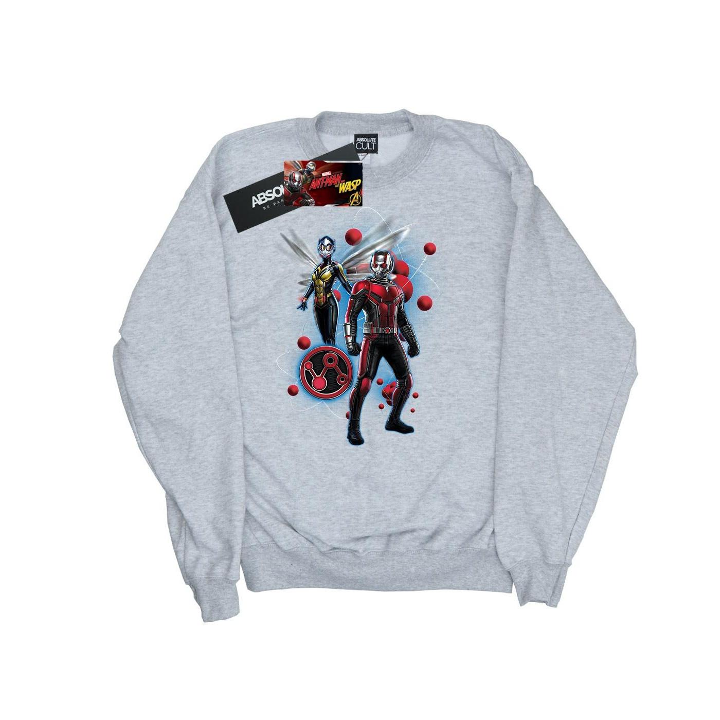 Image of Antman And The Wasp Particle Pose Sweatshirt Jungen Grau 152-158
