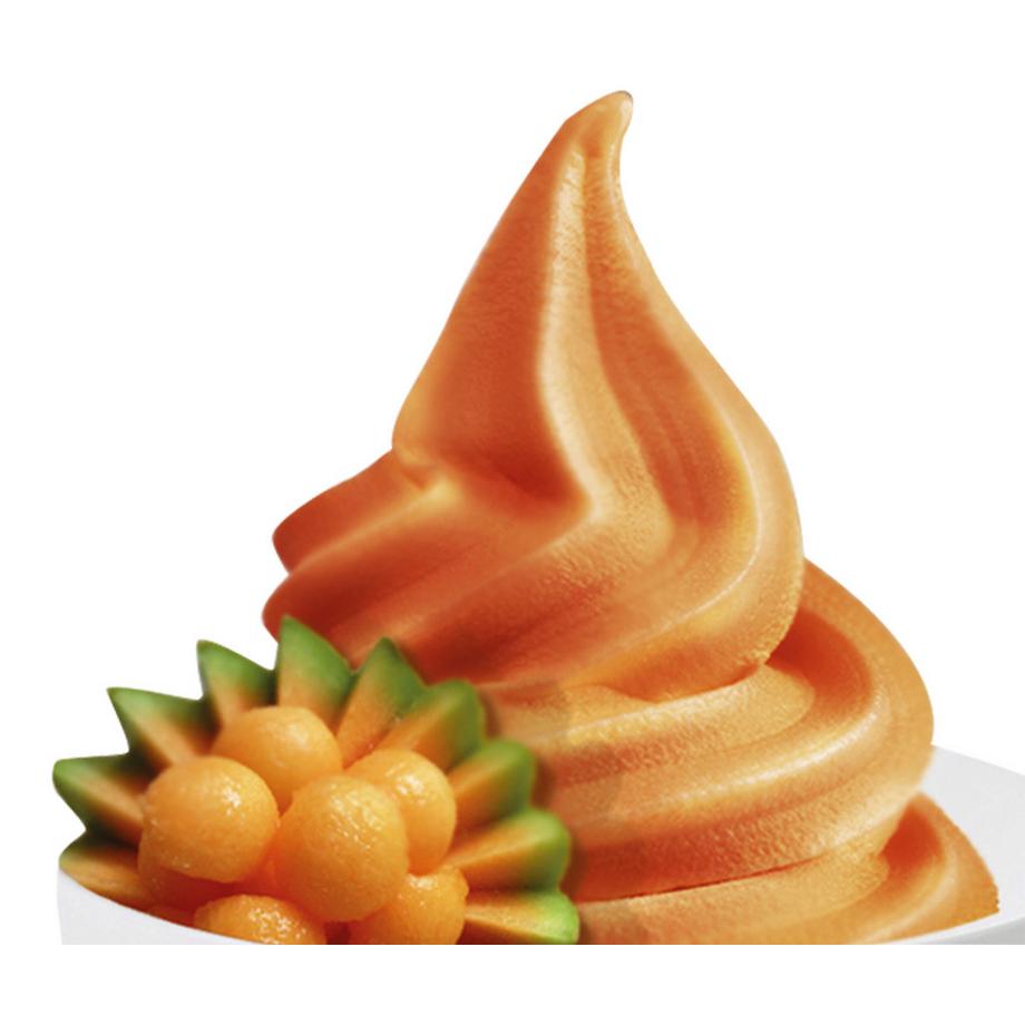 STARLYF PERFECT ICE CREAM  - Machine à glace aux fruits  