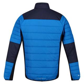 Regatta  Halton VI Softshelljacke 