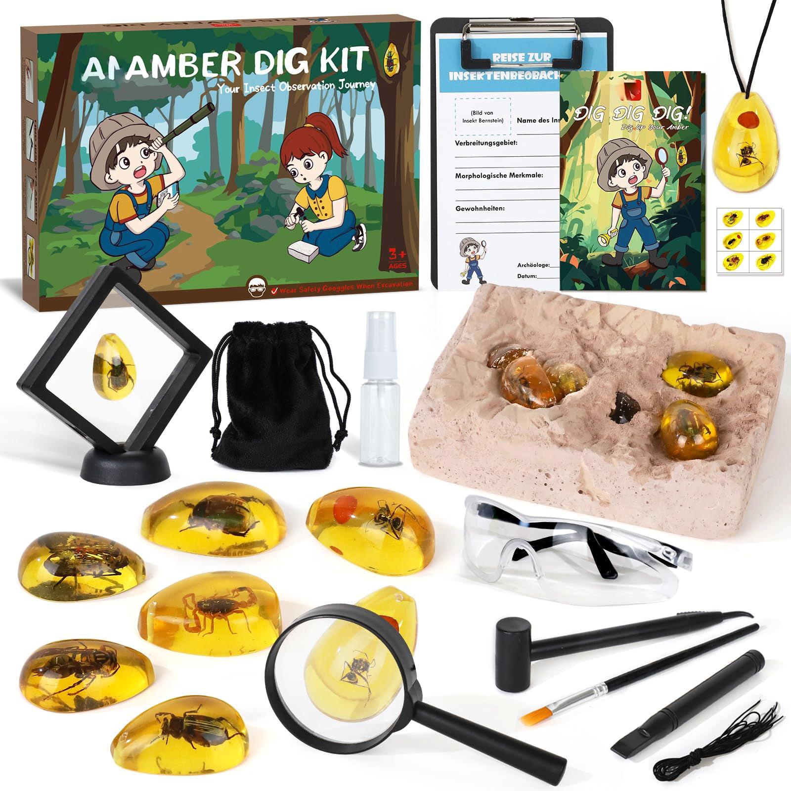 Activity-board  Set de fouilles pour enfants, set de fouilles d'ambre avec 6 fossiles d'insectes artificiels, expériences 