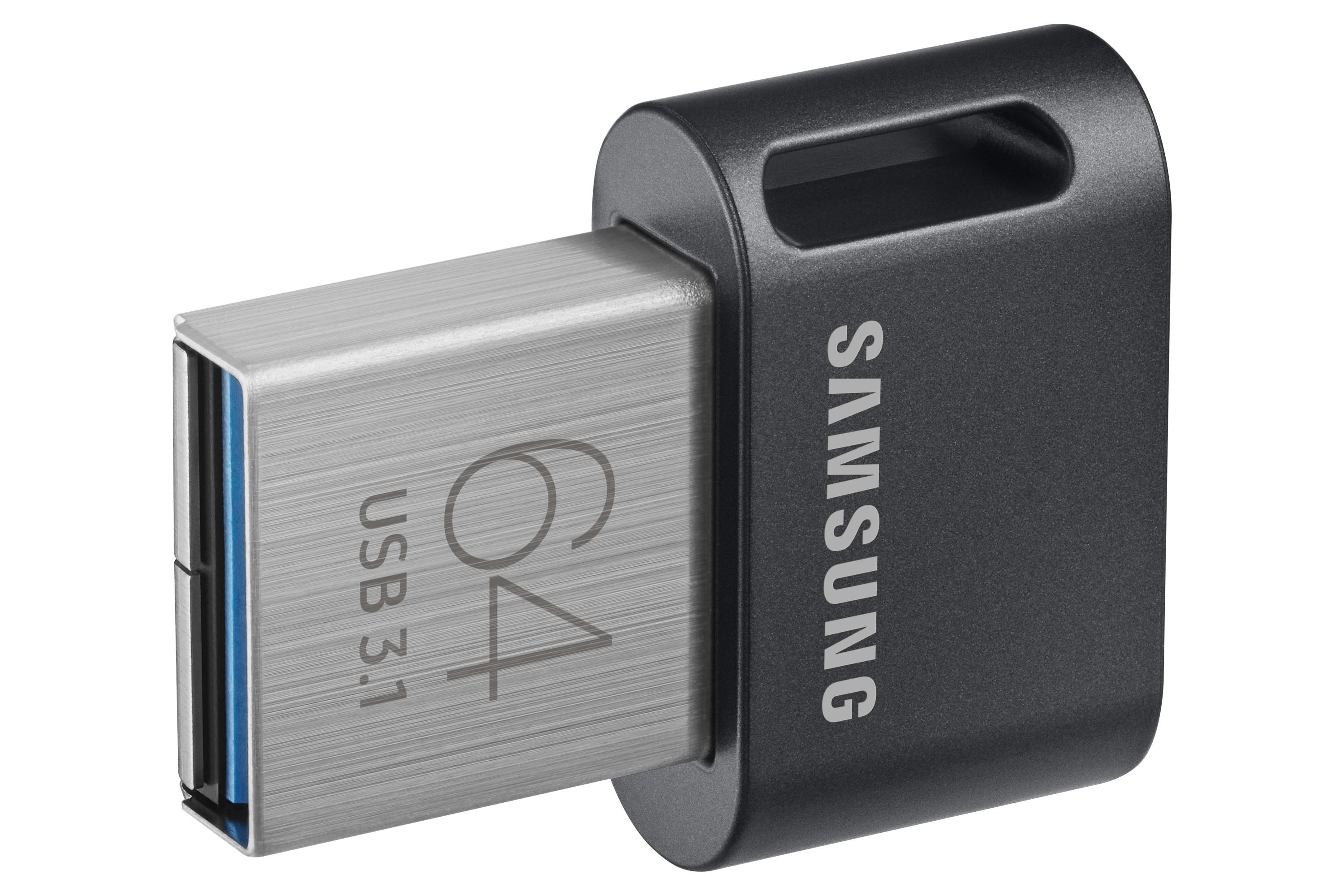 SAMSUNG  Samsung MUF-64AB unità flash USB 64 GB USB tipo A 3.2 Gen 1 (3.1 Gen 1) Grigio, Argento 