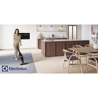 Electrolux Electrolux WQ61-42GG aspirapolvere senza filo Grigio Senza sacchetto  