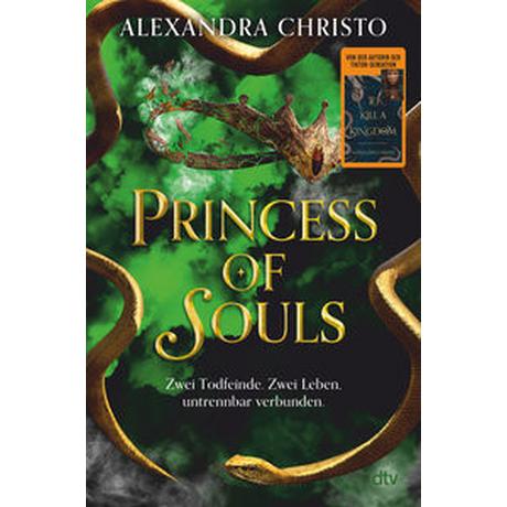 Princess of Souls Christo, Alexandra; Koob-Pawis, Petra (Übersetzung) Gebundene Ausgabe 