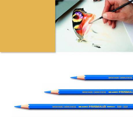 Caran d'Ache Artexport ME7610186843044 pastello colorato  