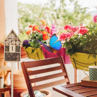 B2X Insektenhotel Natur Größe XL  