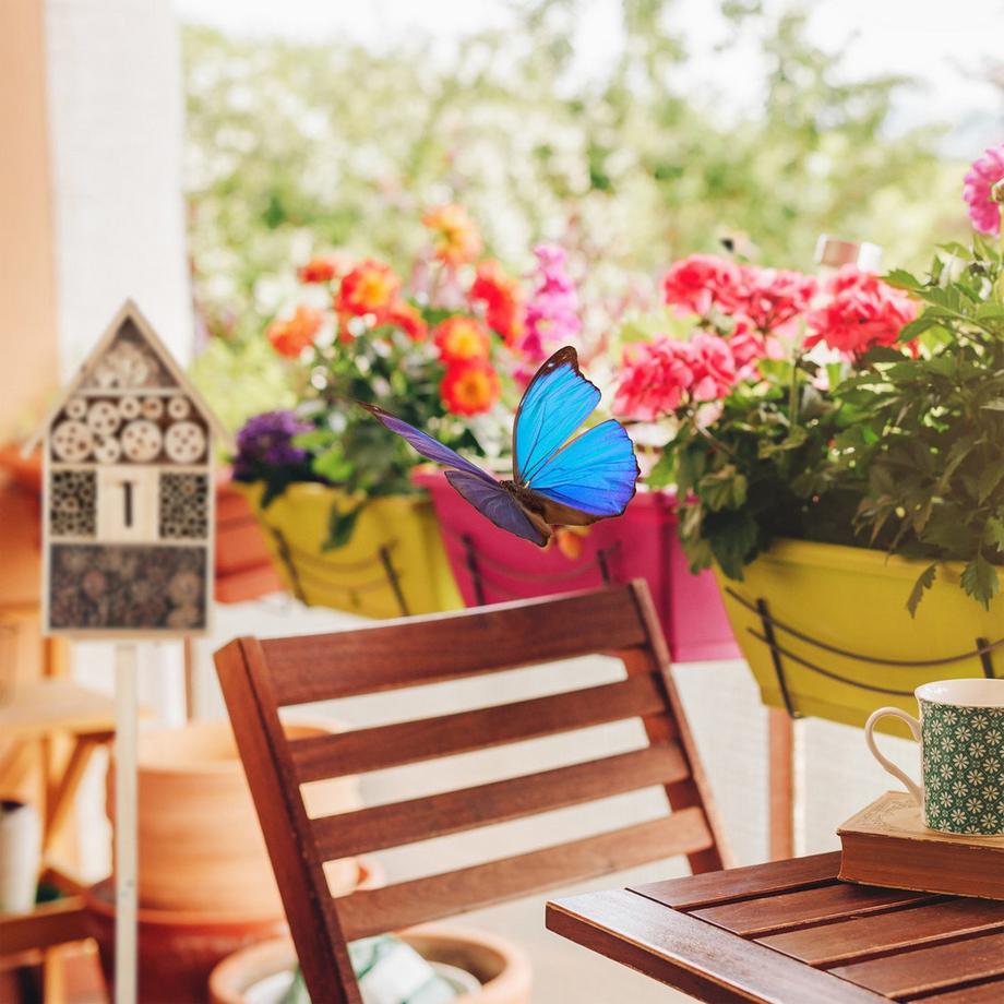 B2X Hotel per insetti taglia naturale XL  