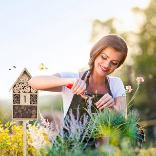 B2X Insektenhotel Natur Größe XL  