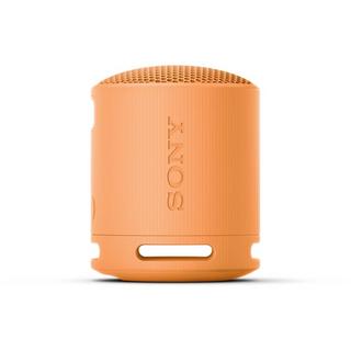 SONY  Altoparlante Bluetooth 