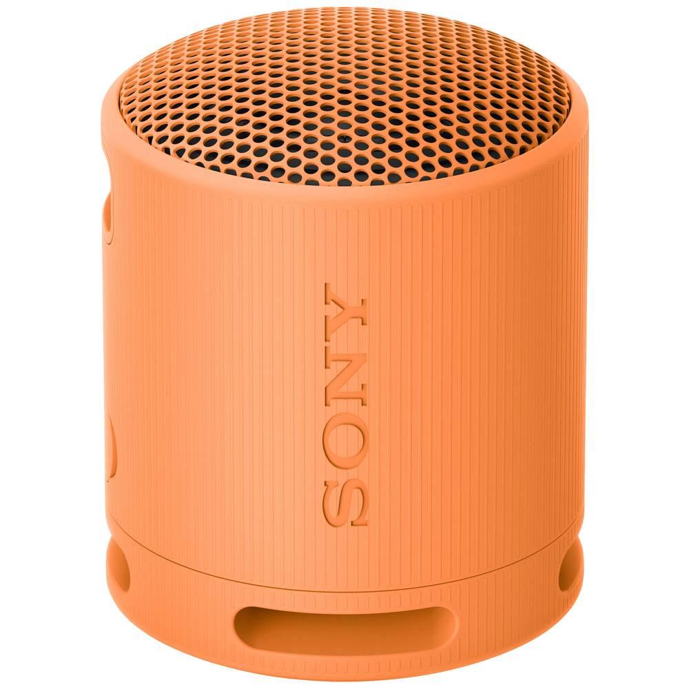 SONY  XB100 Tragbarer kabelloser Lautsprecher 